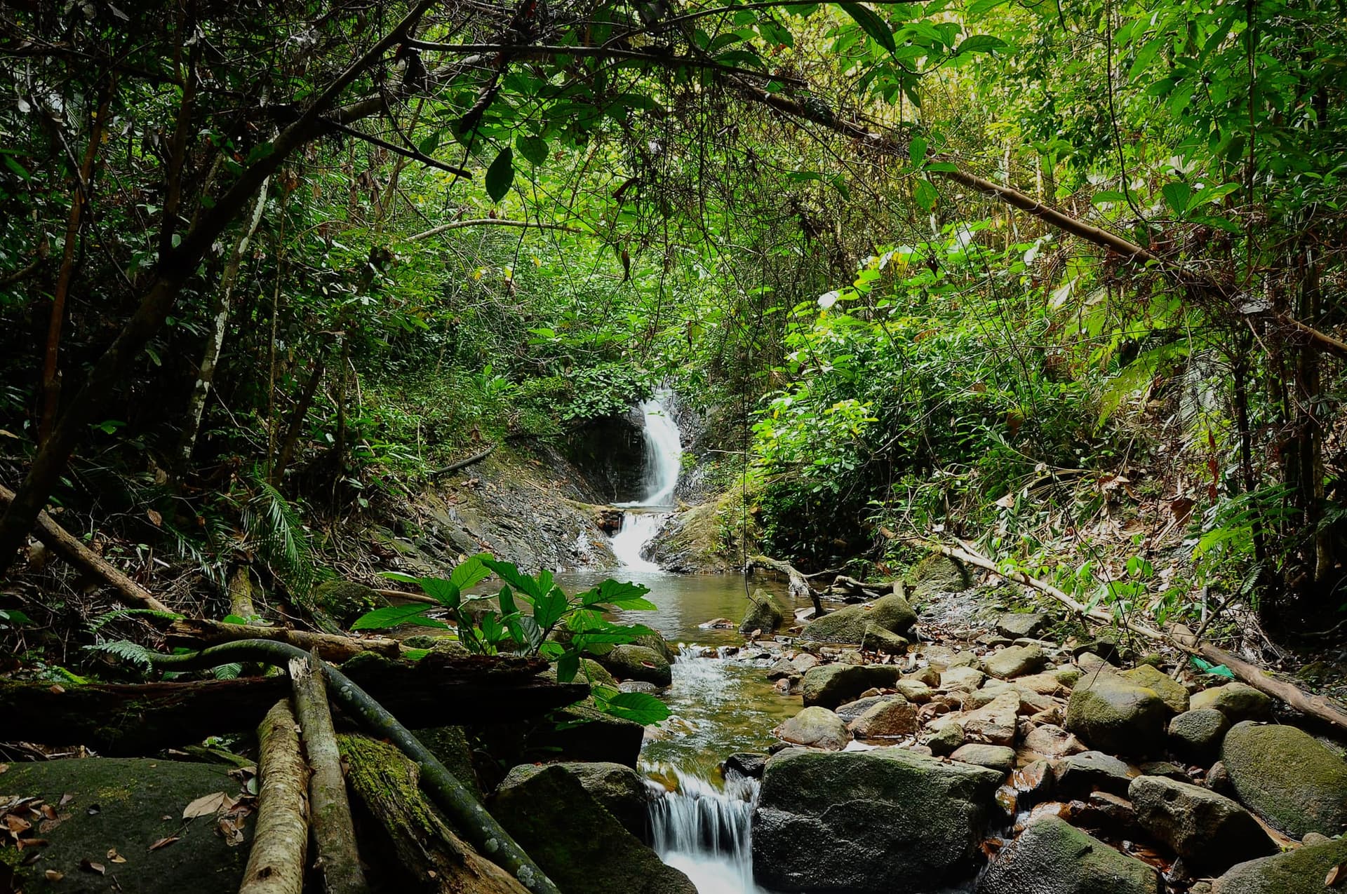 A waterfall and stream at Gunung Belumut, Kluang